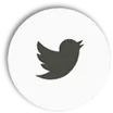 Тканевые натяжные потолки Twitter